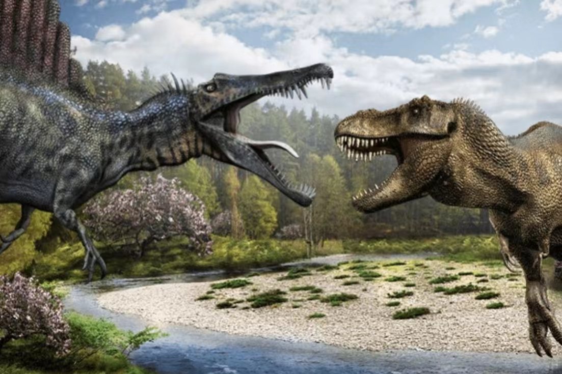 霸王龙是几级保护动物