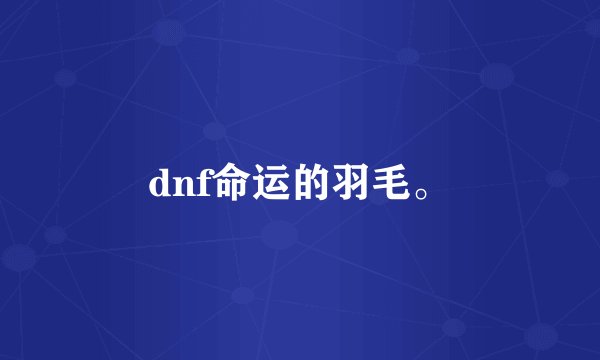dnf命运的羽毛。