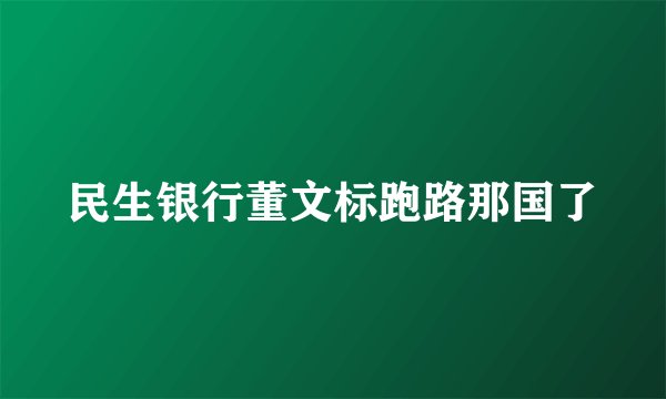 民生银行董文标跑路那国了