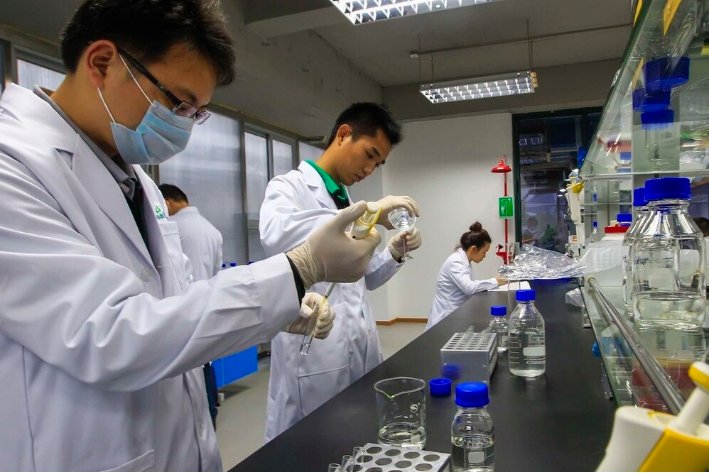 dpph自由基清除率是怎样计算的？