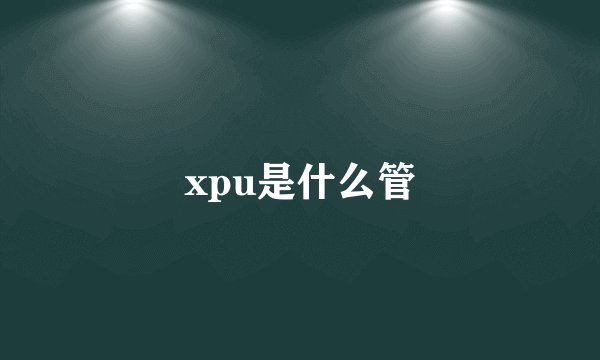 xpu是什么管