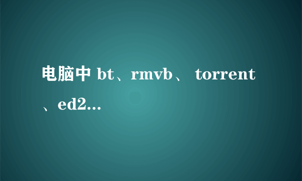 电脑中 bt、rmvb、 torrent 、ed2k、magnet分别是什么意思？