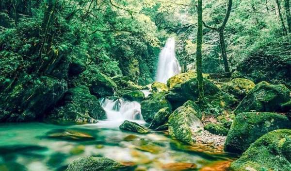 大自然中美妙的声音有哪些？