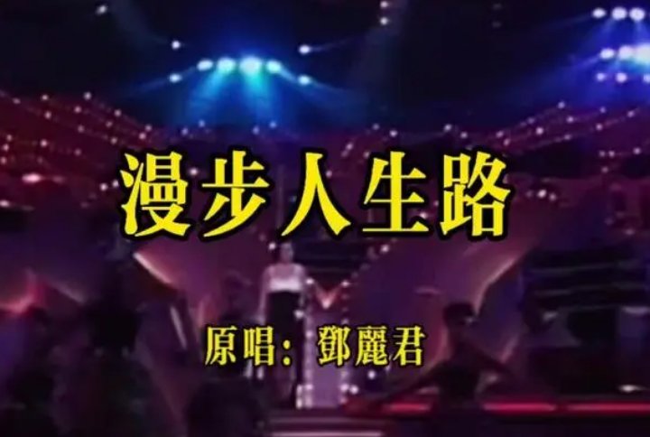 漫步人生路歌词