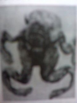 泥炭鞣尸的概念