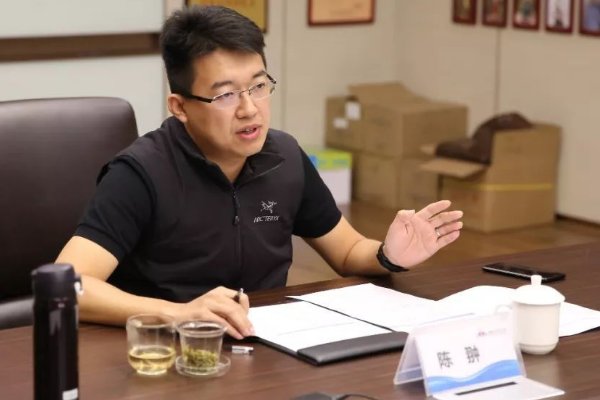 杨惠妍的老公背景