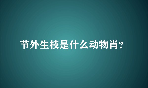 节外生枝是什么动物肖？