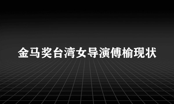 金马奖台湾女导演傅榆现状