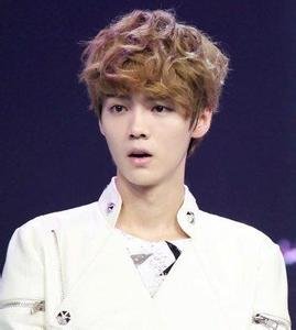 愤题和尚诘问的介绍