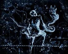 第十三个星座是什么星座？