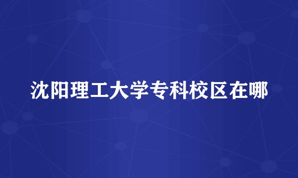 沈阳理工大学专科校区在哪