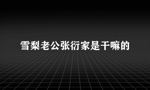 雪梨老公张衍家是干嘛的