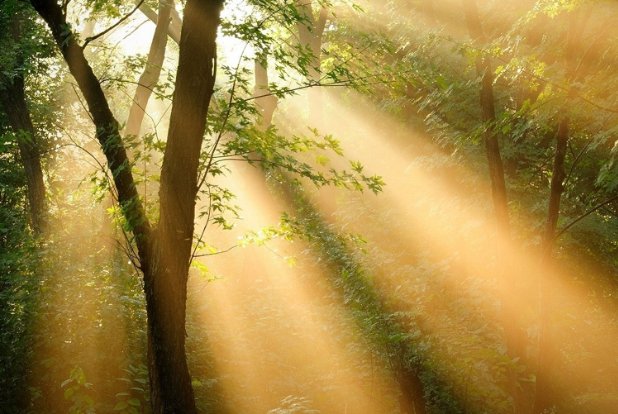 二十年后的世界