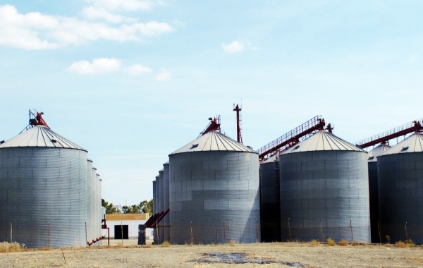 英文说silo啥意思