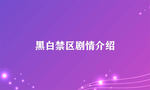 黑白禁区剧情介绍