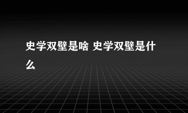 史学双壁是啥 史学双壁是什么