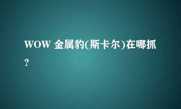 WOW 金属豹(斯卡尔)在哪抓?