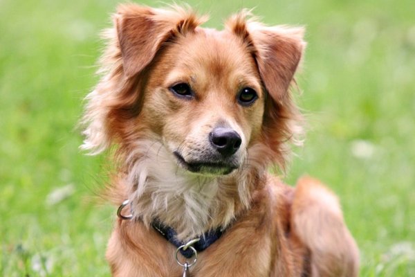 最新 : 仗势欺人