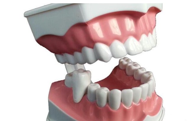 上牙代表父母，下牙代表儿女，这有科学依据吗？