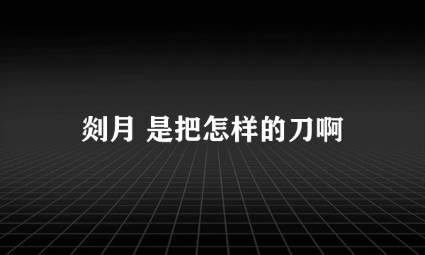 剡月 是把怎样的刀啊