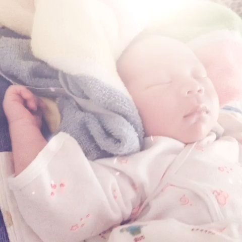 两头蹲的基本信息