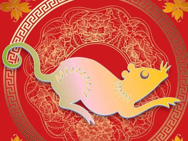 红袖添香打一生肖