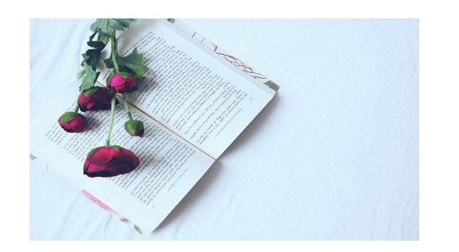 黛妃的作品还有哪些？