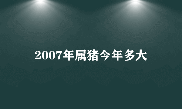 2007年属猪今年多大