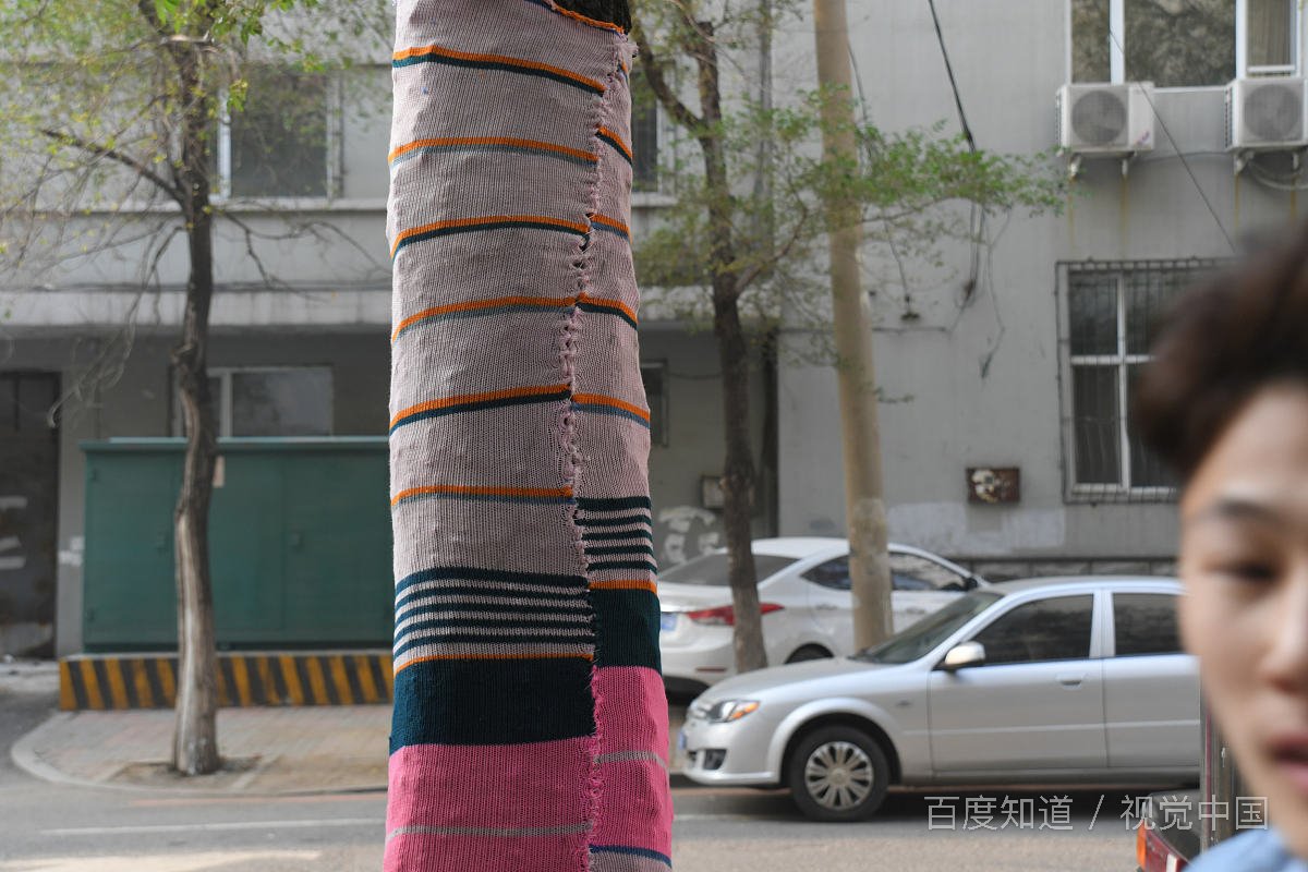 阴阳怪气的动物（猜一生肖）？