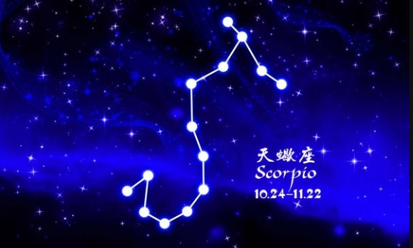 我是11月4号是什么星座