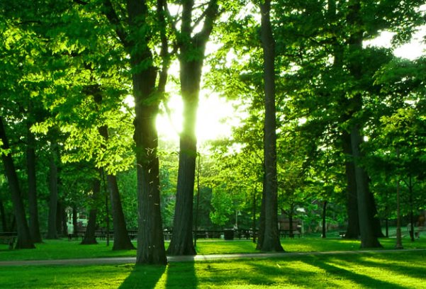 晨韵是什么意思