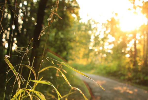 二十年后的世界