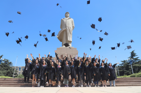 是否择业代理是什么意思