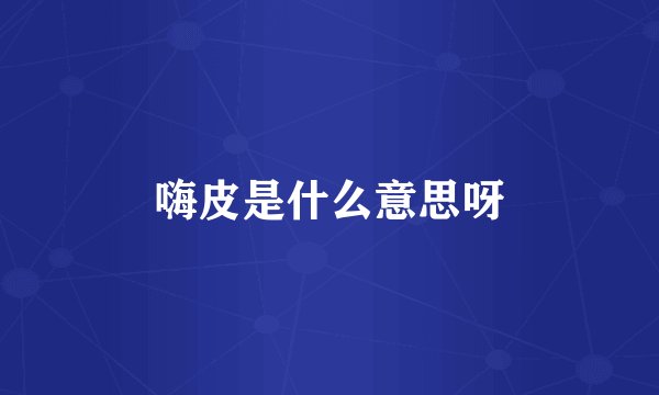 嗨皮是什么意思呀