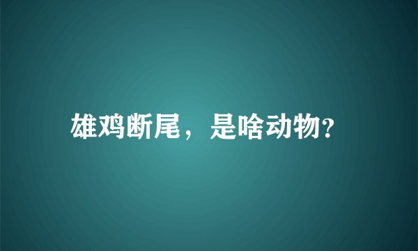 雄鸡断尾，是啥动物？