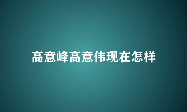 高意峰高意伟现在怎样