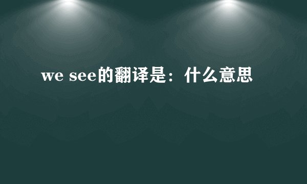 we see的翻译是：什么意思