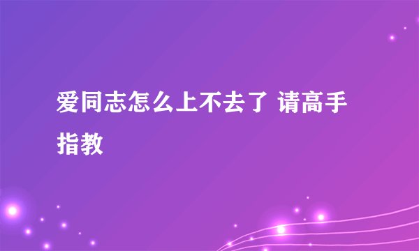 爱同志怎么上不去了 请高手指教