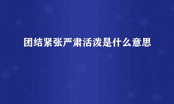 团结紧张严肃活泼是什么意思