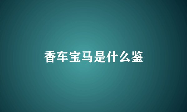 香车宝马是什么鉴