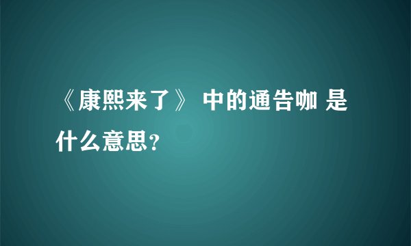 《康熙来了》 中的通告咖 是什么意思？