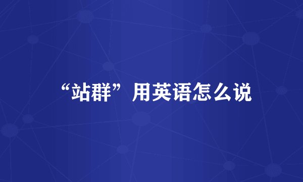 “站群”用英语怎么说