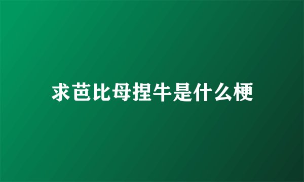 求芭比母捏牛是什么梗