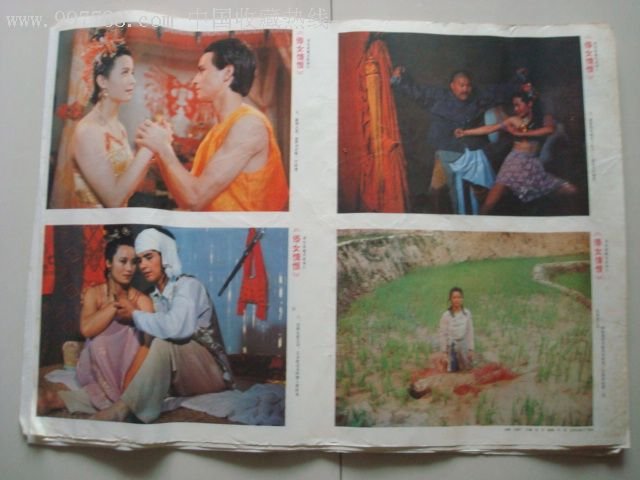 傣女情恨的介绍