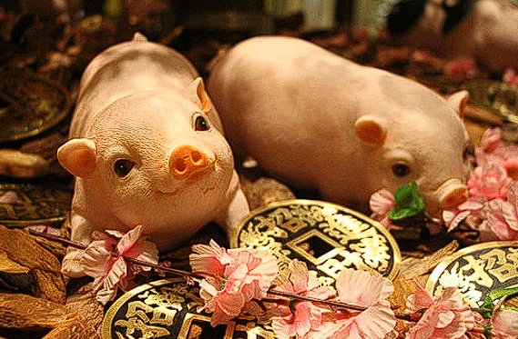 袭人故技是什么生肖的动物