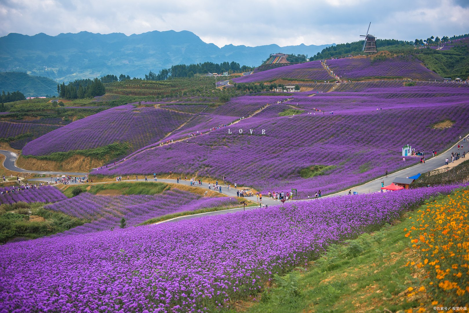 血色浪漫电视剧全集剧情介绍