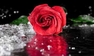 5.14是什么节日 514是什么节日啊