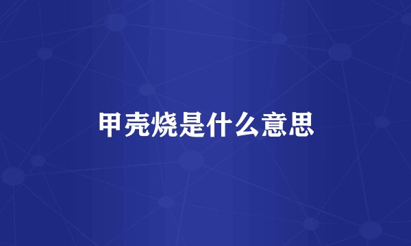 甲壳烧是什么意思