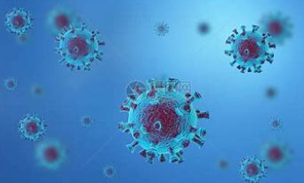 Corona是啥意思？