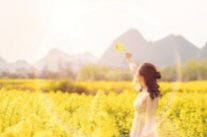 你若盛开清风自来的全诗是什么？